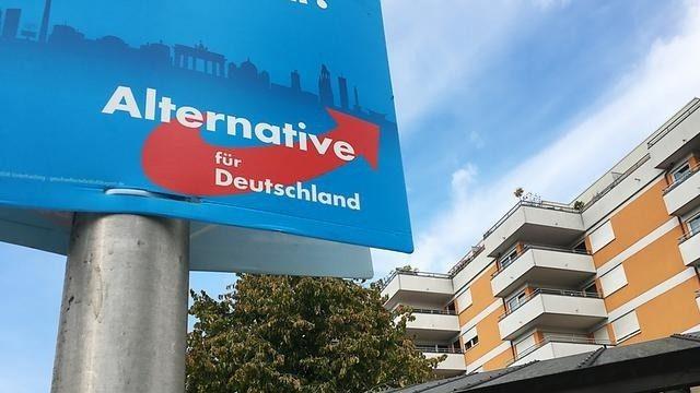 AfD’ye kimler oy verdi?