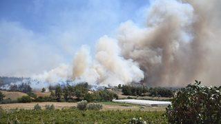 GÜNCELLEME - Adana Sarıçam'da çıkan orman yangını kontrol altına alındı