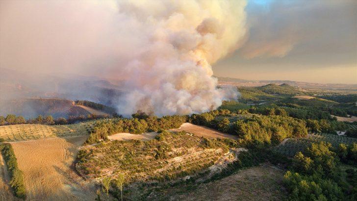 GÜNCELLEME - Osmaniye'de çıkan orman yangınına müdahale ediliyor G2