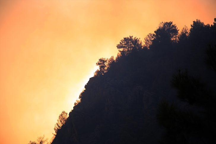 GÜNCELLEME - Mersin'de iki ilçede çıkan orman yangınlarına müdahale sürüyor G1