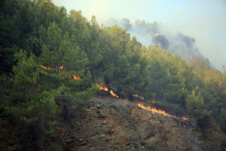 GÜNCELLEME - Mersin'de iki ilçede çıkan orman yangınlarına müdahale sürüyor G3
