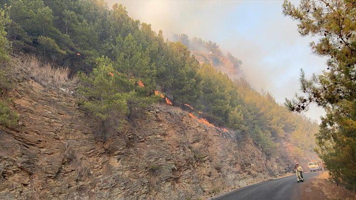 GÜNCELLEME - Mersin'de iki ilçede çıkan orman yangınlarına müdahale sürüyor G5