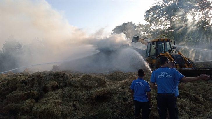 Bursa'da çıkan yangında 6 bin saman balyası yandı G1