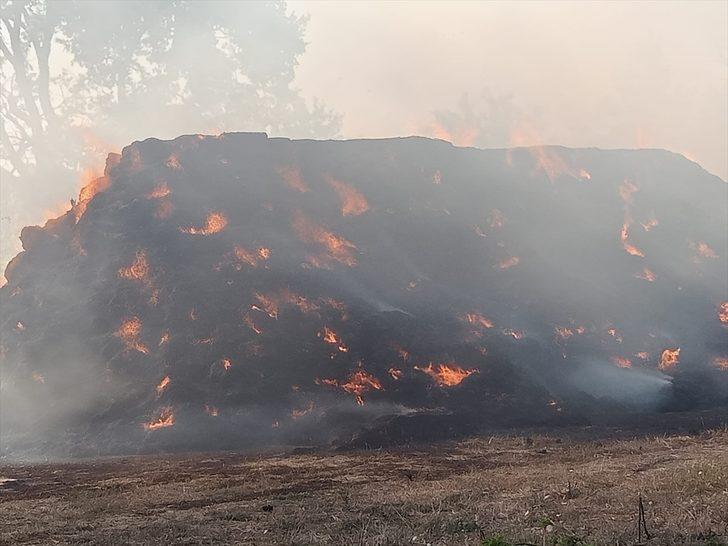 Bursa'da çıkan yangında 6 bin saman balyası yandı G3
