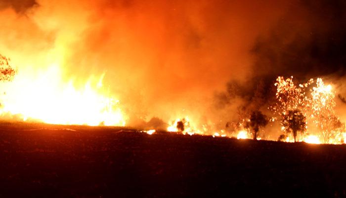 Türkiye için feci gün: Antalya'dan sonra 5 ayrı şehirde yangın çıktı