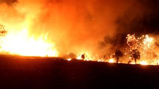 Türkiye için feci gün: Antalya'dan sonra 5 ayrı şehirde yangın çıktı