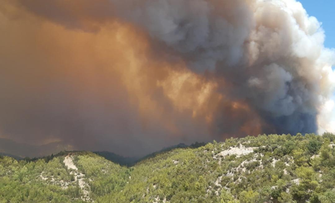 Manavgat nerede? Manavgat'taki yangın s&ouml;nd&uuml;r&uuml;ld&uuml; m&uuml;? İşte son durum