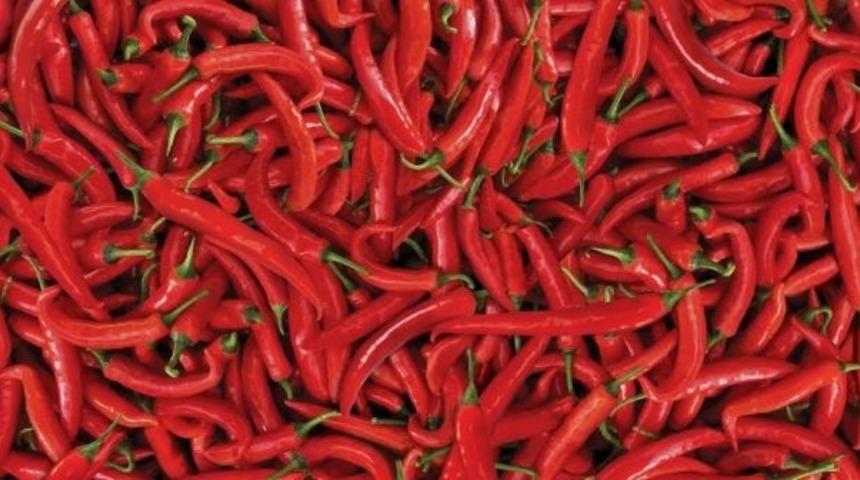 Kırmızı biber hastalıklardan koruyor