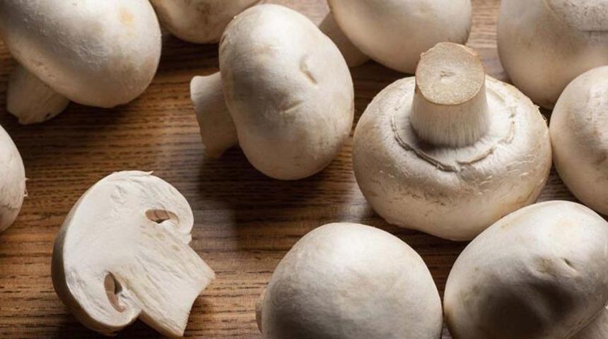 Mantar, yağ oluşumunu engelliyor