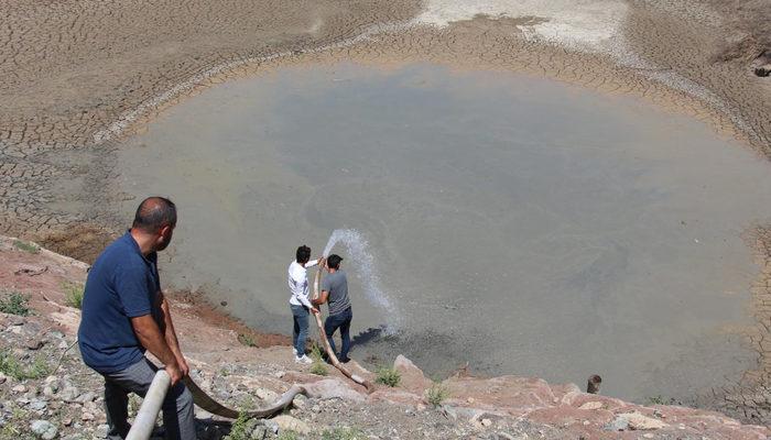 Erzurum'da kuraklık sebebiyle gölette can çekişen balıklara can suyu! 10 bin yavru var