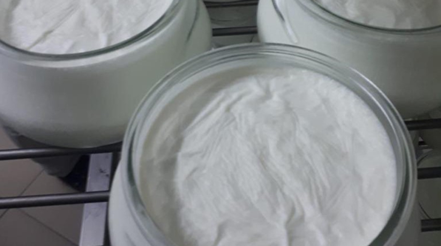 “Afyon manda yoğurdu” coğrafi işaret tescil belgesi aldı