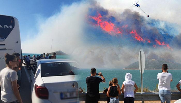 Evler boşaltıldı! Adana, Osmaniye ve Mersin'de yangın