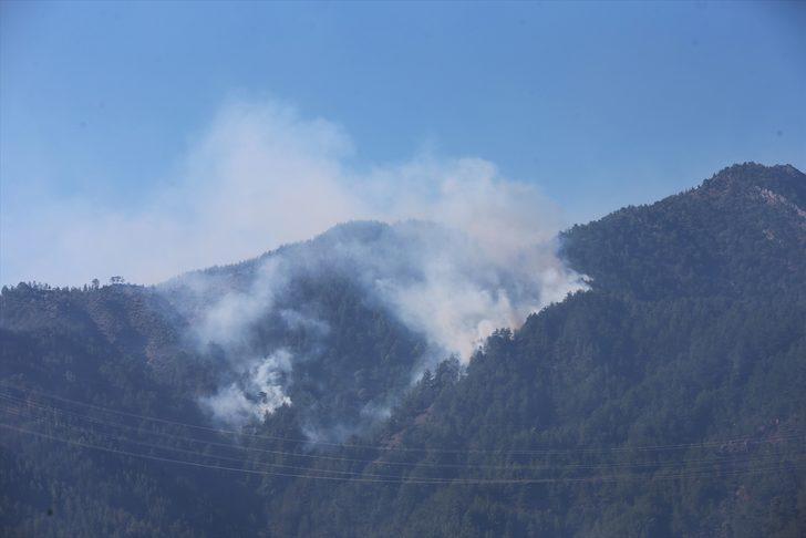 GÜNCELLEME - Adana'daki orman yangınına havadan ve karadan müdahale yeniden başladı G2