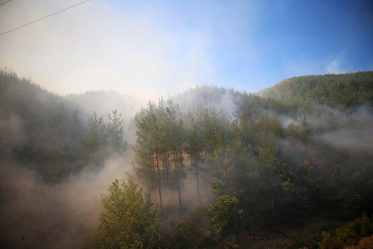 GÜNCELLEME - Adana'daki orman yangınına havadan ve karadan müdahale yeniden başladı G5
