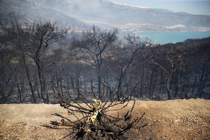 GÜNCELLEME 2- Mersin'in Silifke ilçesinde çıkan orman yangınına müdahale ediliyor G4