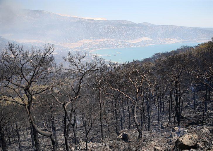 GÜNCELLEME 2- Mersin'in Silifke ilçesinde çıkan orman yangınına müdahale ediliyor G5