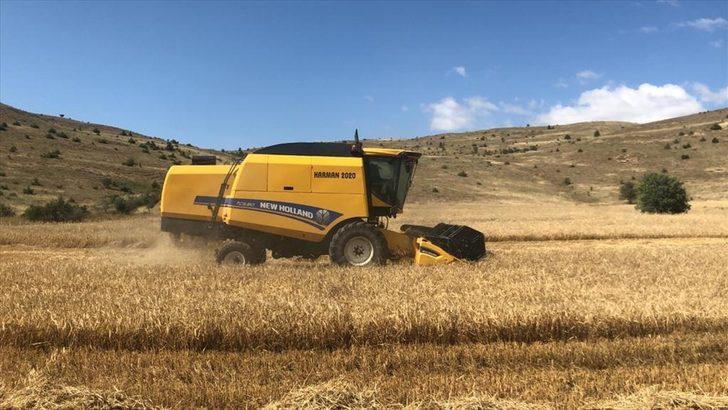 AK Parti Genel Başkanvekili Binali Yıldırım biçerdöver ile hasat yaptı: G3