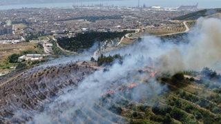 Son Dakika: Kocaeli Körfez'de ormanlık alanda yangın