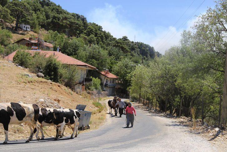 Akseki'deki orman yangınına havadan ve karadan müdahaleye devam ediliyor G2