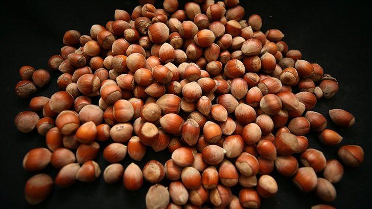 2021 fındık fiyatları ne zaman açıklanacak? İşte güncel fındık fiyatları... G2