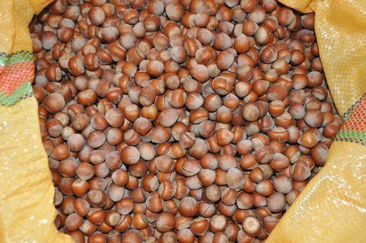 2021 fındık fiyatları ne zaman açıklanacak? İşte güncel fındık fiyatları... G3