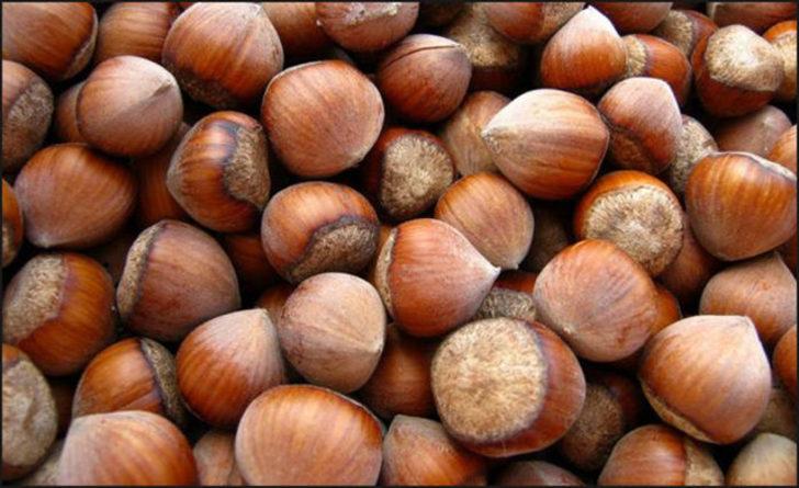 2021 fındık fiyatları ne zaman açıklanacak? İşte güncel fındık fiyatları... G4