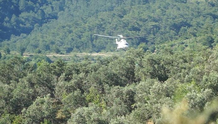 Aydın, KKTC, İzmir ve Balıkesir'de ormanlık alanlara girişler yasaklandı