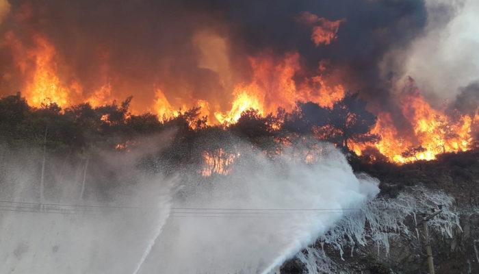 Marmaris yangınıyla ilgili yeni iddia: Yangını iki çocuk çıkardı