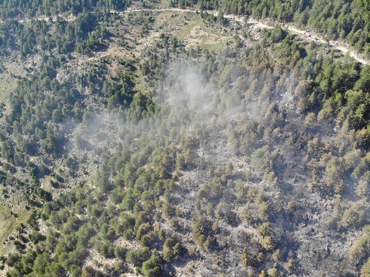GÜNCELLEME 2 - Kütahya'da çıkan orman yangını kontrol altına alındı G1