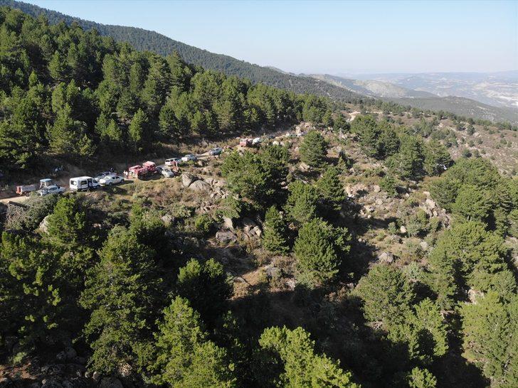 GÜNCELLEME 2 - Kütahya'da çıkan orman yangını kontrol altına alındı G3