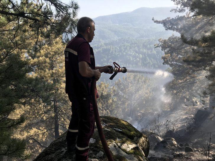 GÜNCELLEME 2 - Kütahya'da çıkan orman yangını kontrol altına alındı G4