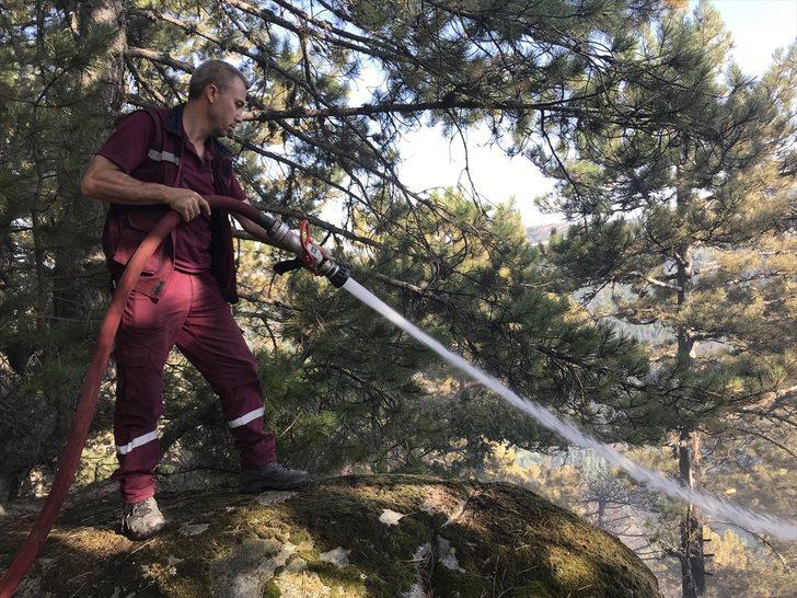 GÜNCELLEME 2 - Kütahya'da çıkan orman yangını kontrol altına alındı G5