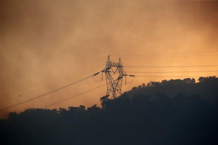 GÜNCELLEME 6 - Mersin'in Silifke ilçesinde çıkan orman yangınına müdahale ediliyor G1