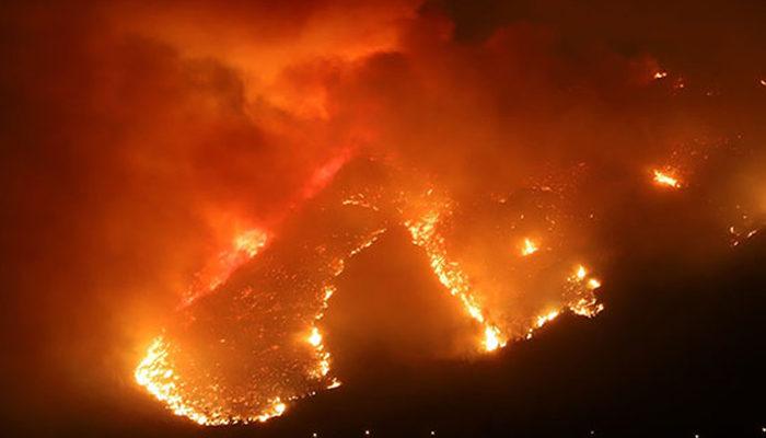 Orman yangınlarında son durum! 74 yangın kontrol altına alındı, 11 yangın devam ediyor