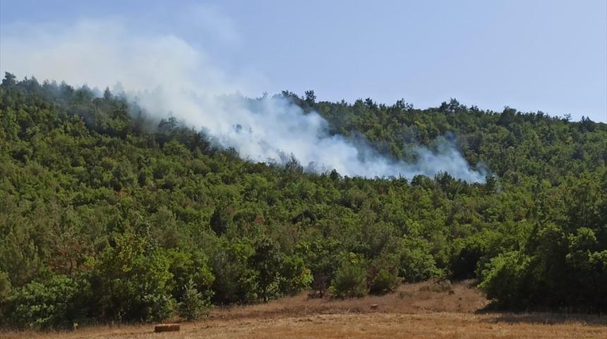 Balıkesir'de ormanlık alanda çıkan örtü yangını kontrol altına alındı
