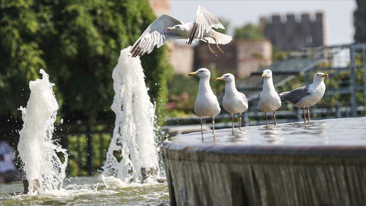 Eyyam-ı Bahur nedir ve ne zaman başlayacak? Eyyam-ı Bahur tarihi 2021 G1