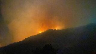 Son Dakika: Antalya'nın Gazipaşa ilçesinde orman yangını