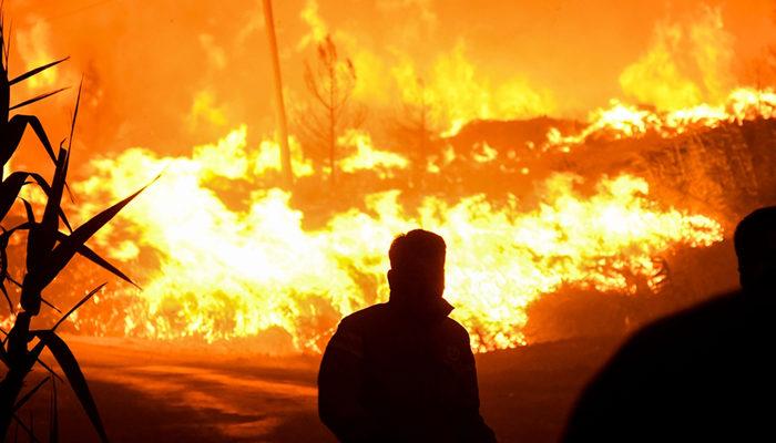 Adana, Mersin ve Antalya'da orman yangını: Evler yanıyor