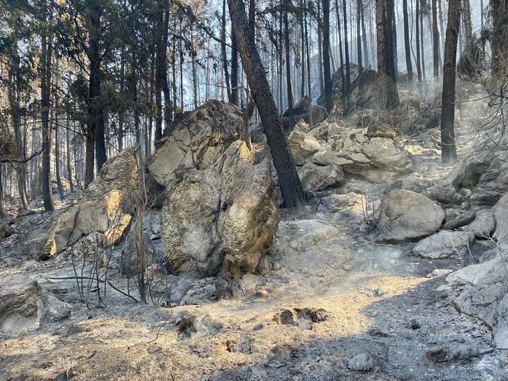 Marmaris'te felaket! Yangın devam ediyor, acı haber geldi (Marmaris son durum) G1