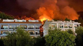 İfadeleri ortaya çıktı! Kitap yakarken ormanı yakmışlar