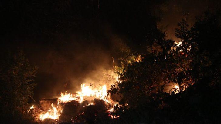 Hangi illerde yangın çıktı? Son dakika yangın haberleri! İşte Manavgat yangınında son durum G4