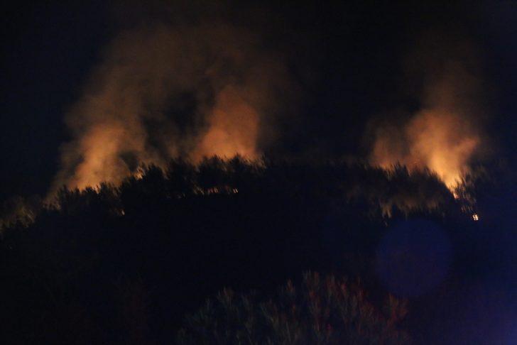 GÜNCELLEME - Adana Kozan'da çıkan ikinci orman yangını kontrol altına alındı G1