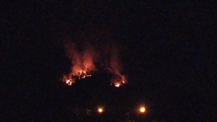 GÜNCELLEME - Adana Kozan'da çıkan ikinci orman yangını kontrol altına alındı G2