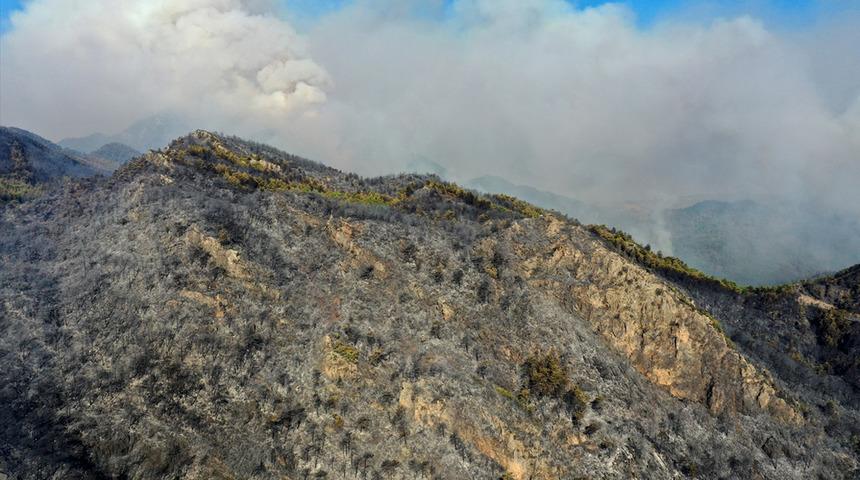 Azerbaycan'dan Türkiye'ye destek! Yangınla mücadele için ekip gönderecekler