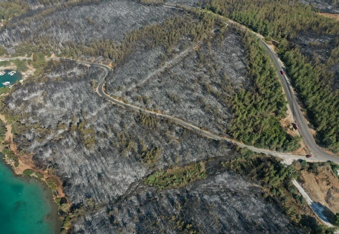 Muğla G&uuml;vercinlik&rsquo;teki yangında otellerin yanındaki 80 hektar orman k&uuml;le d&ouml;nd&uuml;