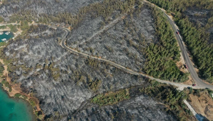 Muğla Güvercinlik’teki yangında otellerin yanındaki 80 hektar orman küle döndü