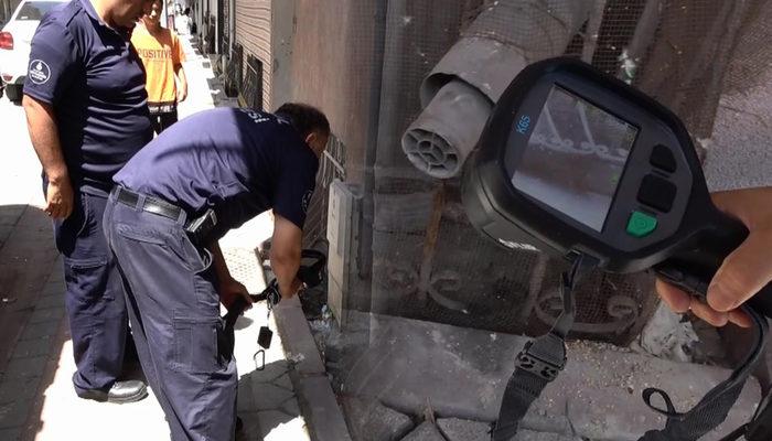 İstanbul'da yılan paniği! Termal kamerayla aradılar: Çok tedirginim ve korkuyorum