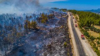 Son dakika: Manavgat'ta yeni orman yangını! Alevler yükseliyor