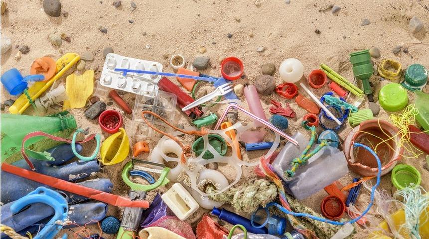 Plastik yiyen bakteri ve mantarlar atık sorununa &ccedil;&ouml;z&uuml;m olabilir mi?