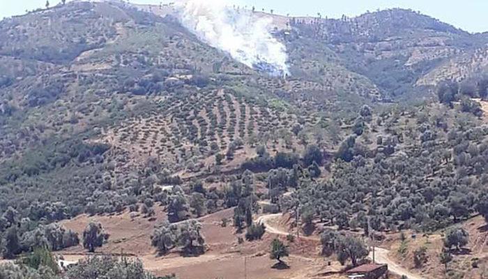 Son Dakika: İzmir Kiraz'da yangın! İşte il il yangınların son durumu